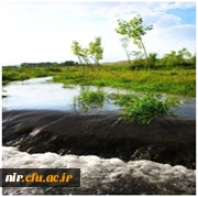 تصویردیدنی نیر