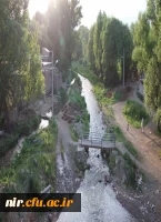 تصاویرزیبای نیر