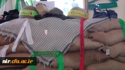 هفته دفاع مقدس گرامیباد
بمناسبت بزرگداشت هفته دفاع مقدس  نمایشگاهی ازطرف بسیج دانشجویی مرکزآموزش عالی آزادگان نیربرگزارشد. 2