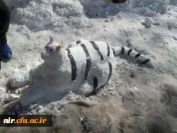 مسابقه و کارگاه حجم سازی با برف 7