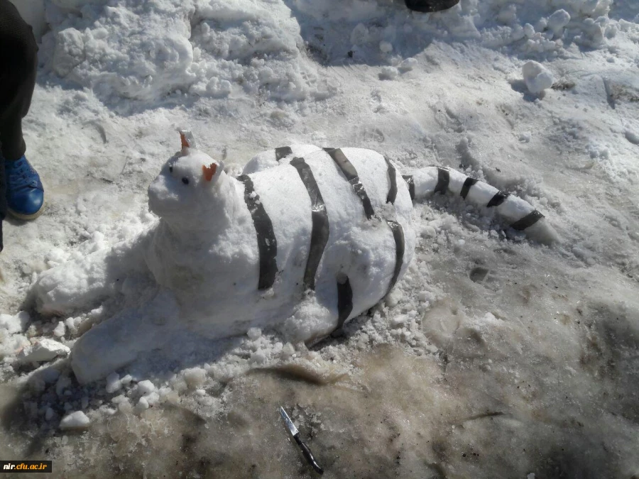 مسابقه و کارگاه حجم سازی با برف 7