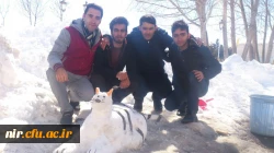 مسابقه و کارگاه حجم سازی با برف 8