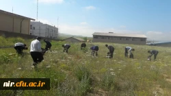 برگزاری کارگاه در مورد لزوم حفاظت از محیط زیست 4