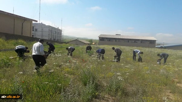 برگزاری کارگاه در مورد لزوم حفاظت از محیط زیست 4