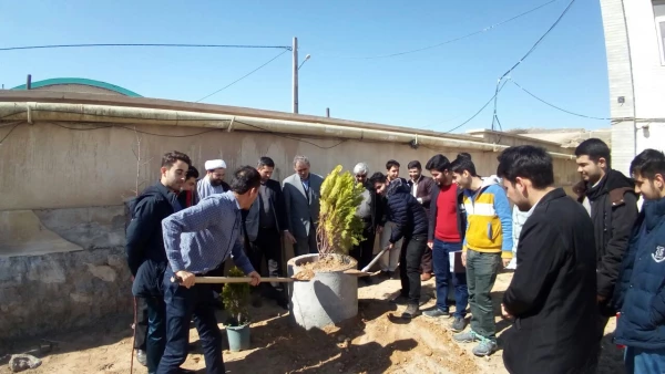 کاشت درخت بمناسبت روز درختکاری در مرکز آموزش عالی آزادگان نیر با حضور کارکنان، جمعی از اساتید و دانشجویان 5