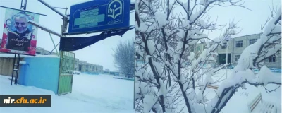 تصاویری از زیبایی های زمستان در مرکز