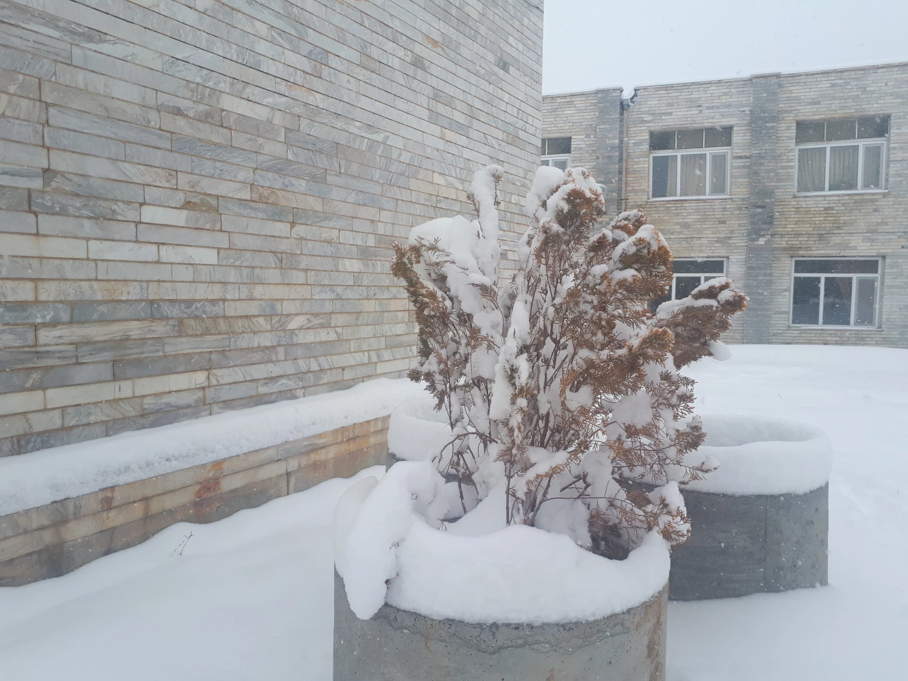 تصاویری از زیبایی های زمستان در مرکز 3