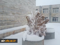 تصاویری از زیبایی های زمستان در مرکز 3