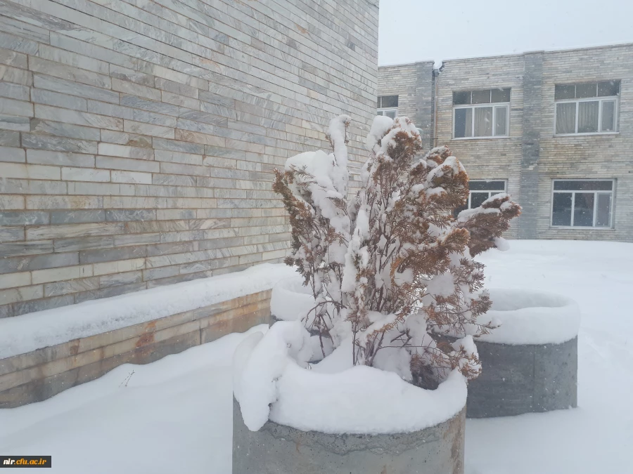 تصاویری از زیبایی های زمستان در مرکز 3