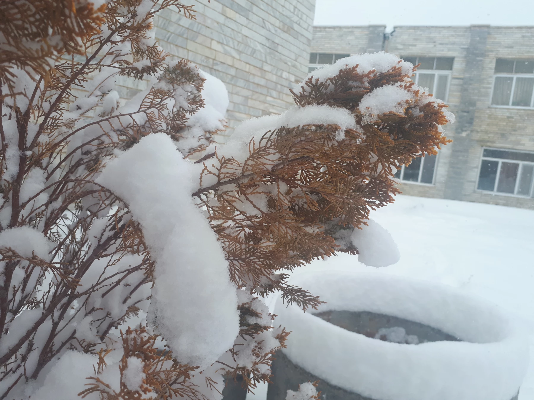 تصاویری از زیبایی های زمستان در مرکز 4