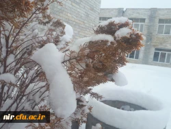 تصاویری از زیبایی های زمستان در مرکز 4