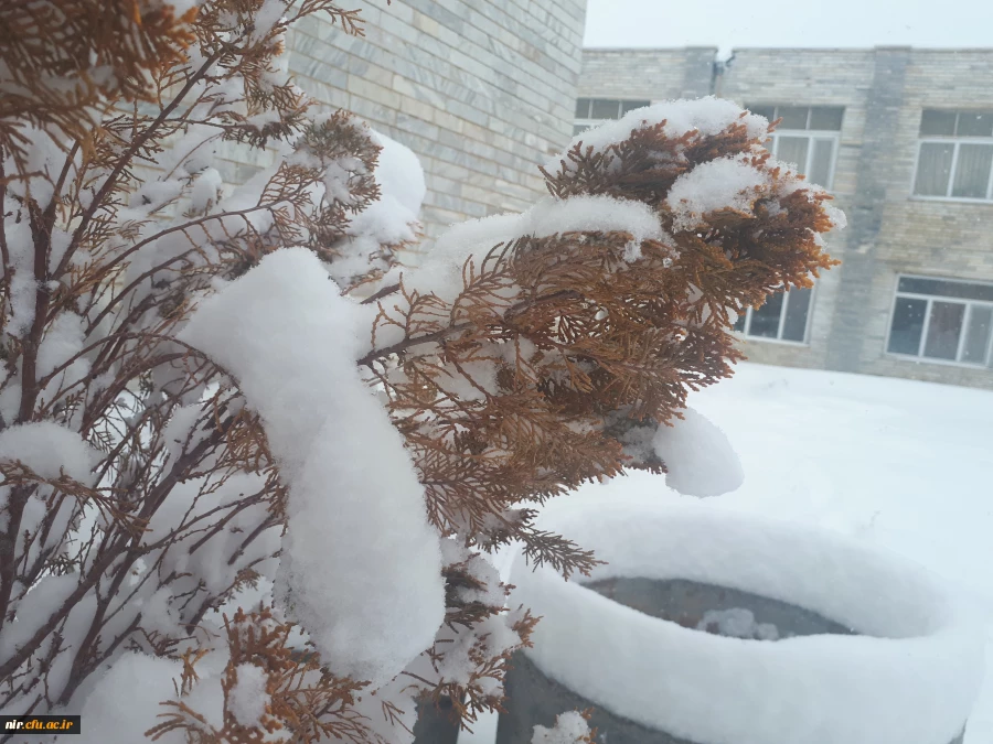 تصاویری از زیبایی های زمستان در مرکز 4