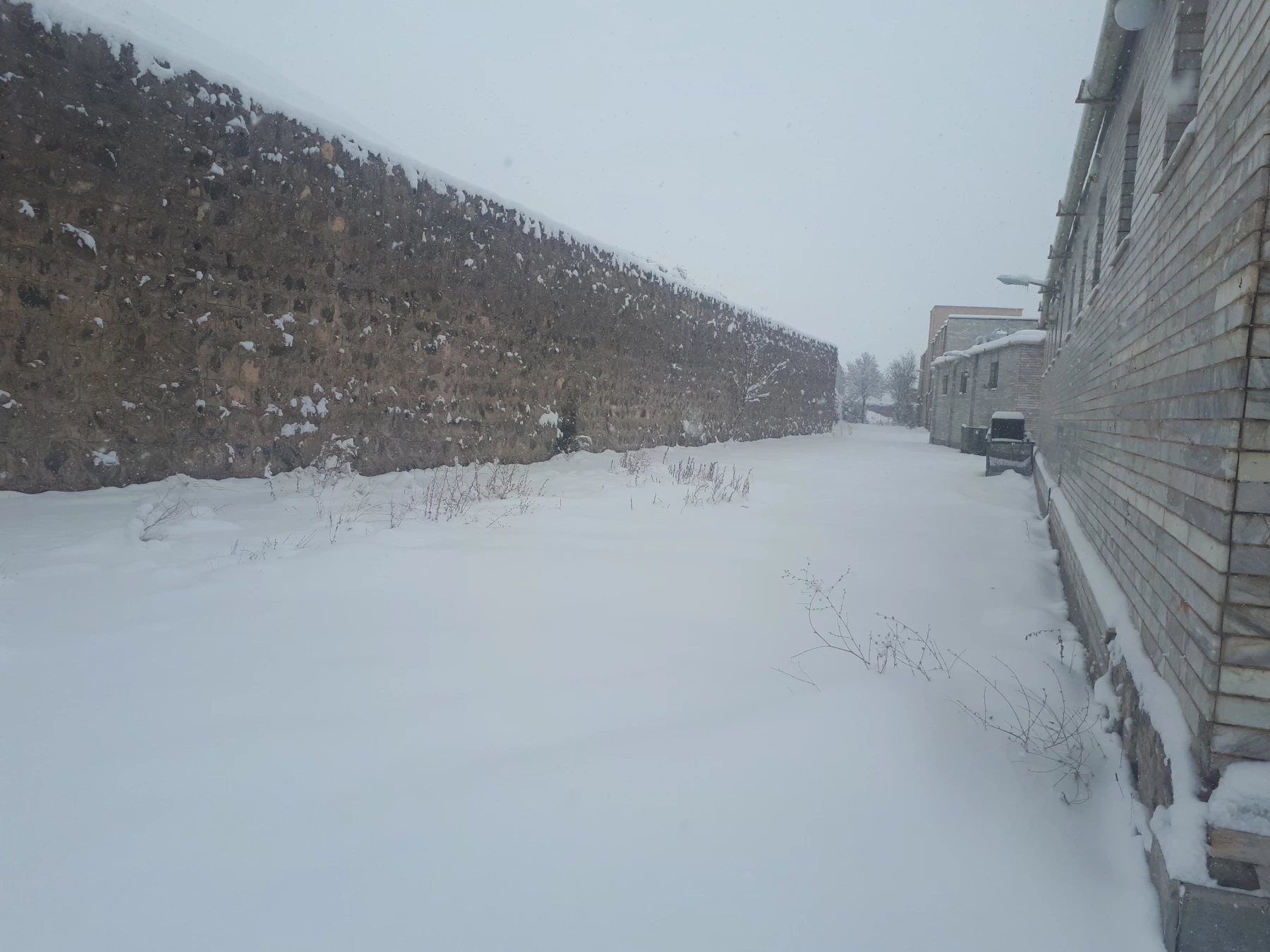 تصاویری از زیبایی های زمستان در مرکز 5