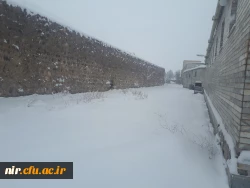 تصاویری از زیبایی های زمستان در مرکز 5