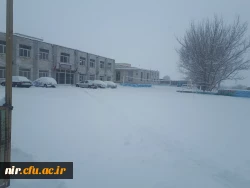 تصاویری از زیبایی های زمستان در مرکز 6