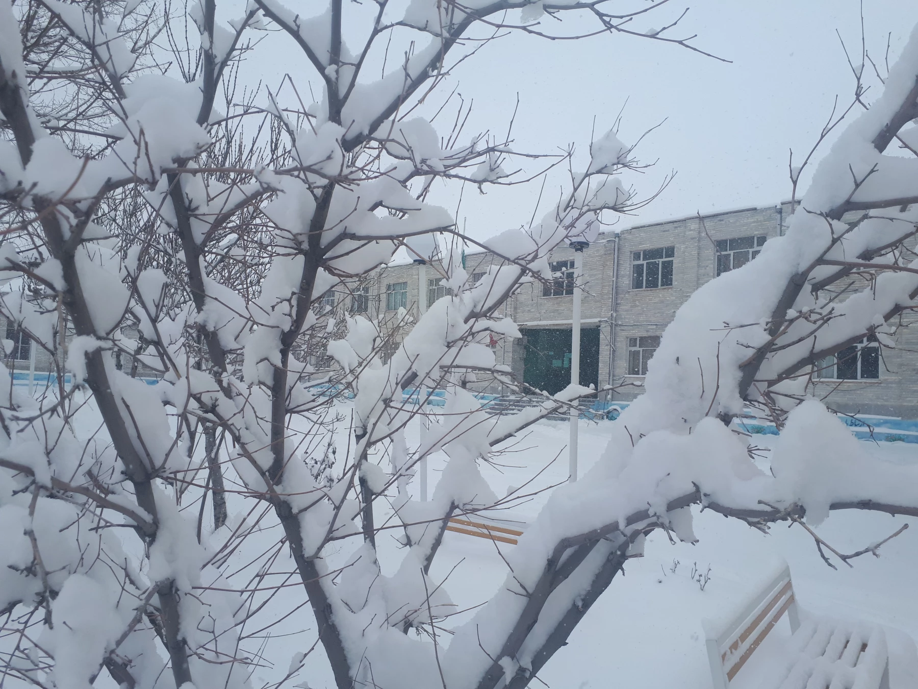 تصاویری از زیبایی های زمستان در مرکز 7