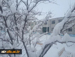 تصاویری از زیبایی های زمستان در مرکز 7