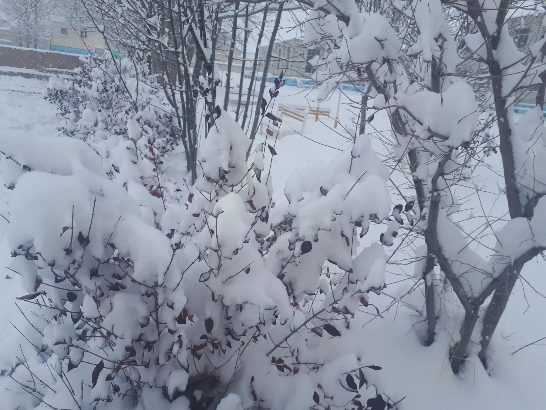 تصاویری از زیبایی های زمستان در مرکز 8