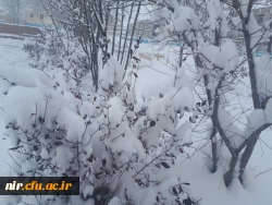 تصاویری از زیبایی های زمستان در مرکز 8