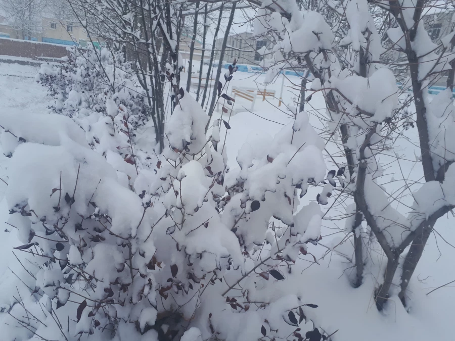 تصاویری از زیبایی های زمستان در مرکز 8