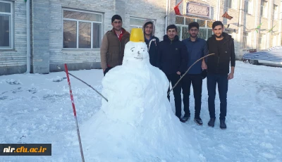 درمرکز آموزش عالی آزادگان نیر برگزار شد:

مسابقه ساخت تندیس های برفی
