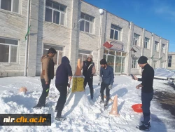 مسابقه ساخت تندیس های برفی 3
