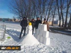 مسابقه ساخت تندیس های برفی 4