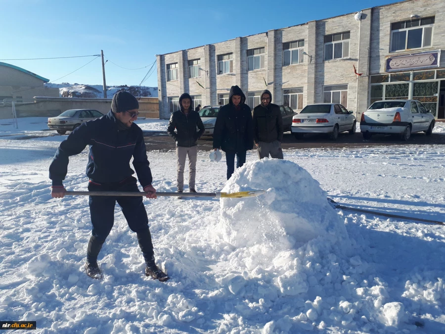 مسابقه ساخت تندیس های برفی 5