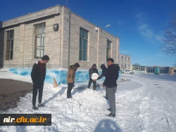 مسابقه ساخت تندیس های برفی 7