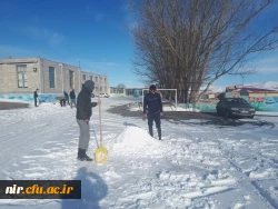 مسابقه ساخت تندیس های برفی 8