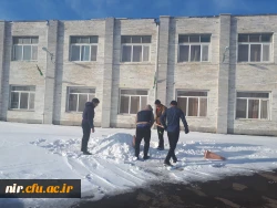 مسابقه ساخت تندیس های برفی 9