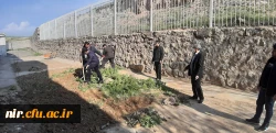 احیای فضای سبز مرکز آموزش آزادگان نیر
 2