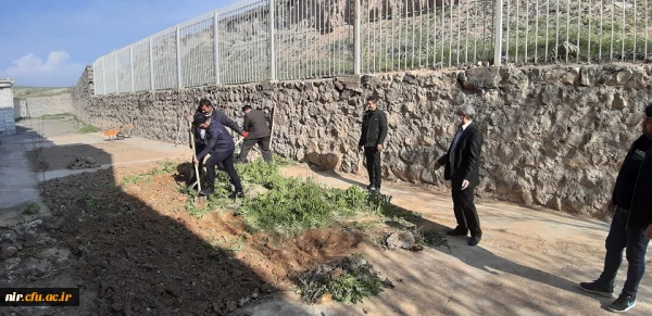احیای فضای سبز مرکز آموزش آزادگان نیر
 2