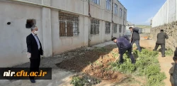 احیای فضای سبز مرکز آموزش آزادگان نیر
 3