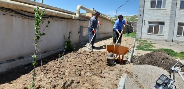 احیای فضای سبز مرکز آموزش آزادگان نیر
 4