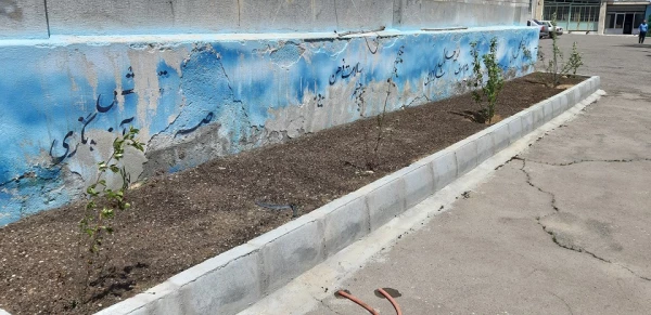 احیای فضای سبز مرکز آموزش آزادگان نیر
 5