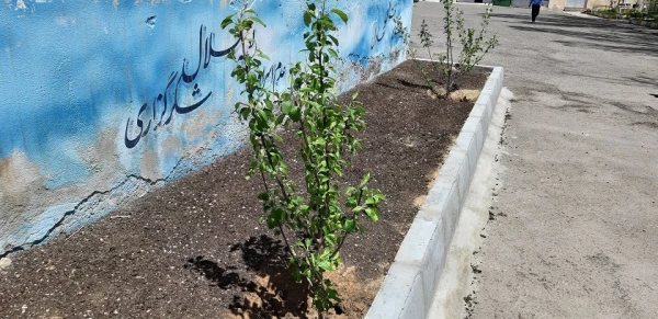احیای فضای سبز مرکز آموزش آزادگان نیر
 6