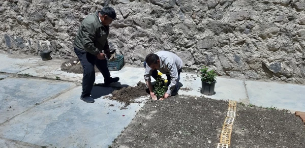 احیای فضای سبز مرکز آموزش آزادگان نیر
 8